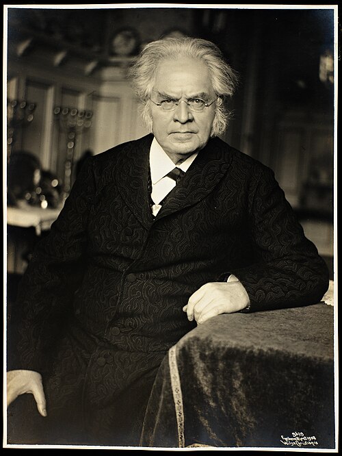 Porträt von Bjørnstjerne Bjørnson