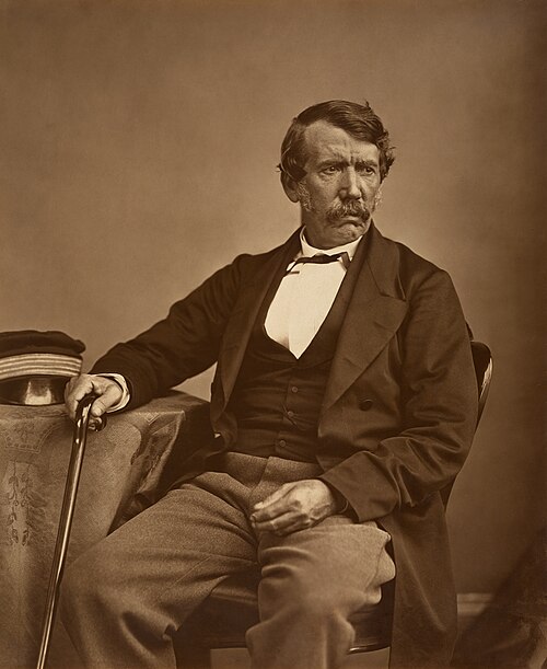 Porträt von David Livingstone