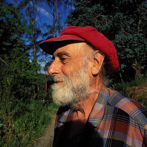 Porträt von Friedensreich Hundertwasser