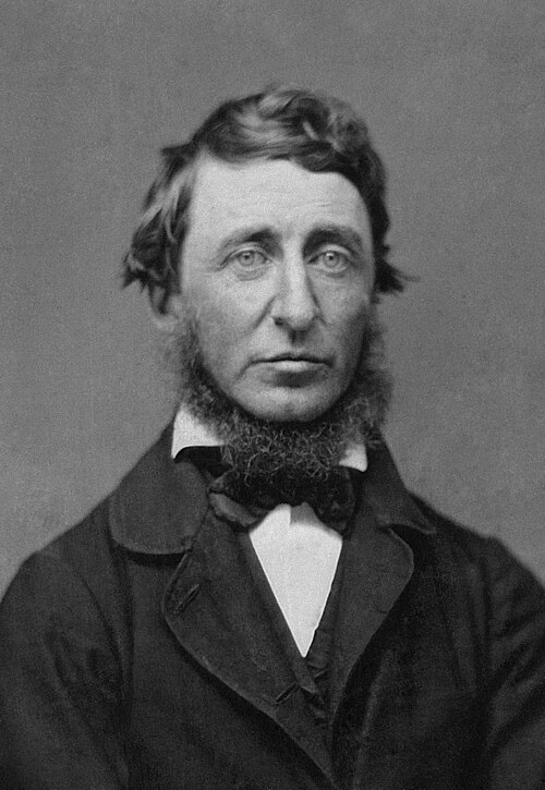 Porträt von Henry David Thoreau