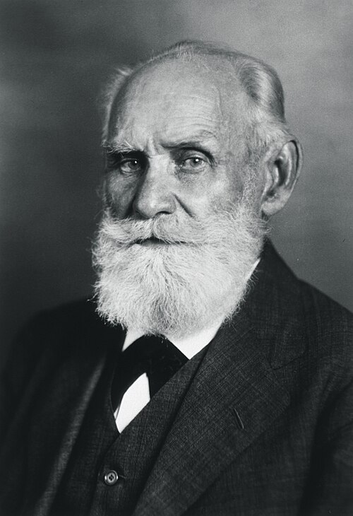Porträt von Iwan Petrowitsch Pawlow
