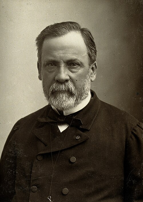 Porträt von Louis Pasteur