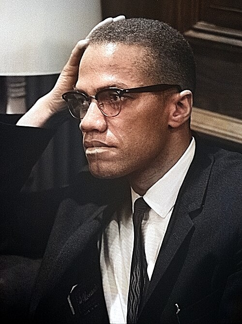 Porträt von Malcolm X