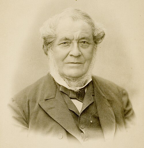 Porträt von Robert Wilhelm Bunsen
