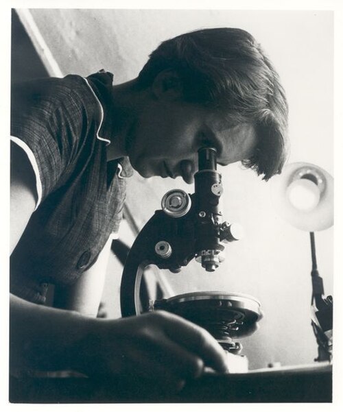 Porträt von Rosalind Franklin